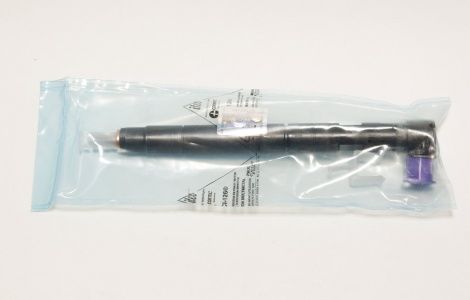 Форсунка DELPHI 28229873 HYUNDA KIA 33800-4A710