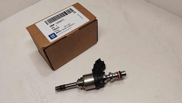 Форсунка бензиновая GM 12698573